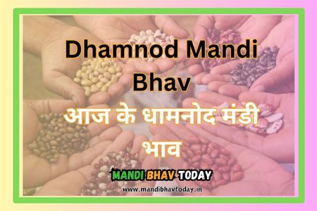 Dhamnod Mandi Bhav