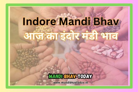 Indore Mandi Bhav