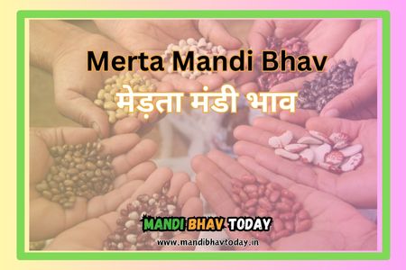 Merta Mandi Bhav