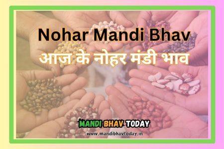 Nohar Mandi Bhav