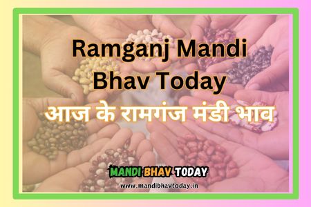 Ramganj Mandi Bhav Today