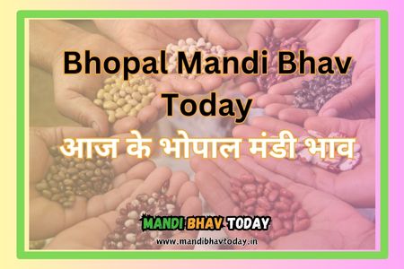 Bhopal-Mandi-Bhav-Today