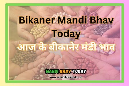 Bikaner Mandi Bhav Today
