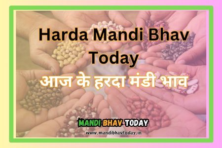 Harda Mandi Bhav Today
