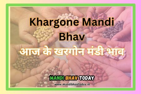 Khargone Mandi Bhav
