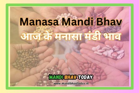 Manasa-Mandi-Bhav