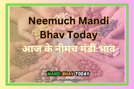 Neemuch-Mandi-Bhav
