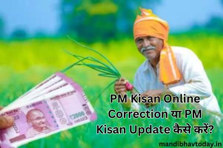 PM Kisan Online Correction