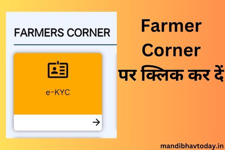 farmer corner